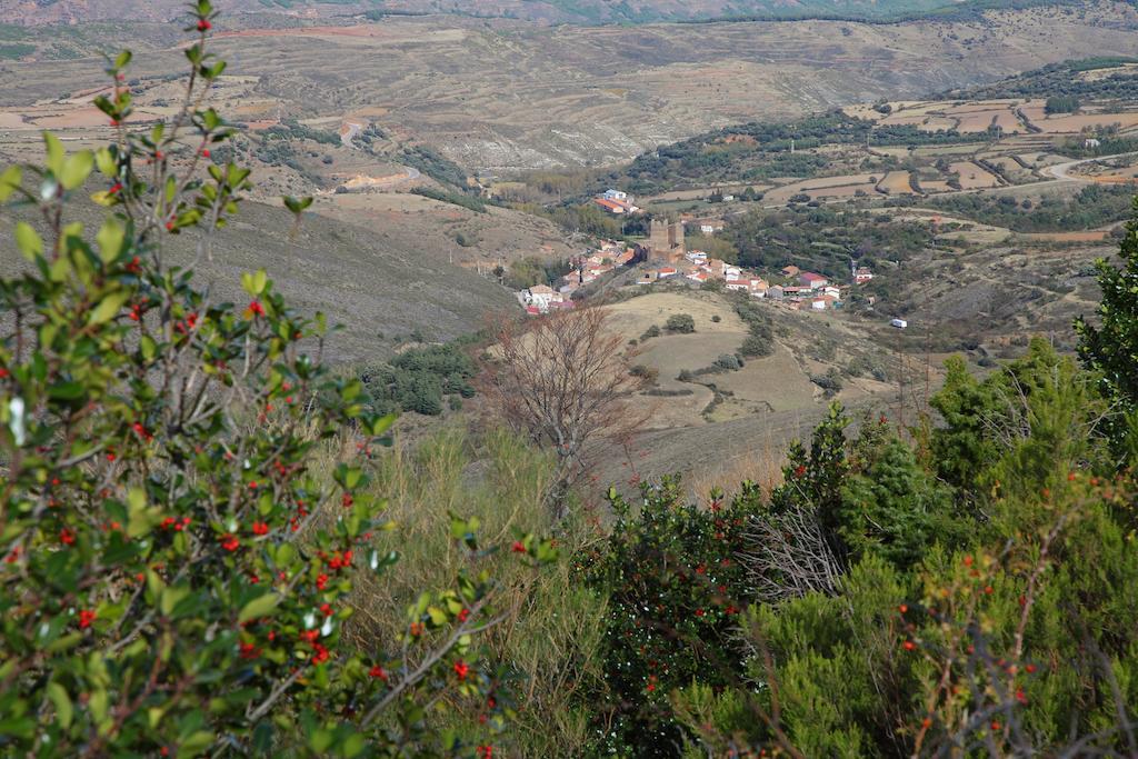 Vivienda Turistica Los Mesones Ágreda Kültér fotó